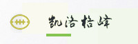 合作伙伴